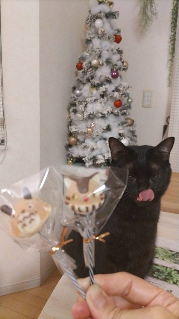＊ケーキポップ＊