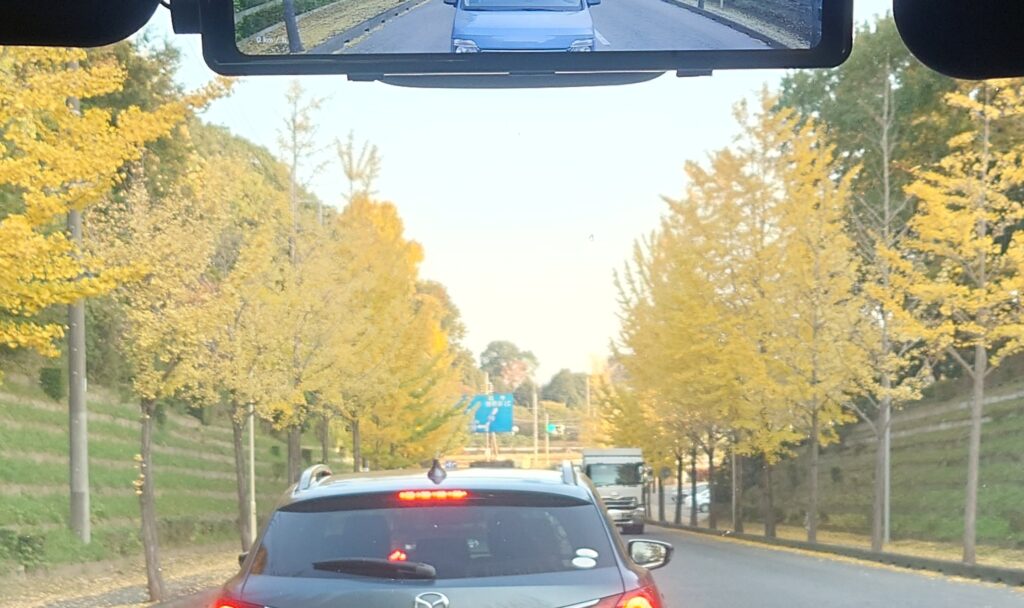 ＊イチョウ並木＊