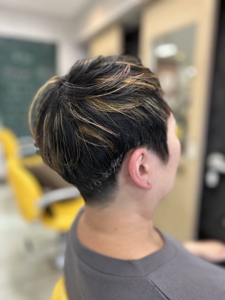メッシュ
