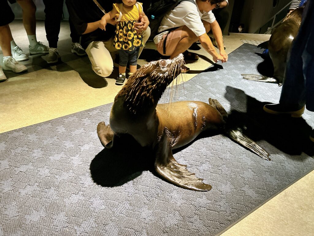 水族館⭐︎