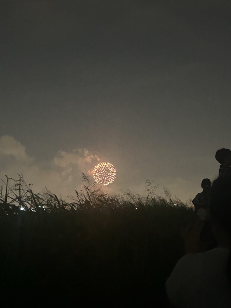 花火〜♪